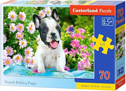 Παιδικό Puzzle French Bulldog Puppy 70pcs Castorland