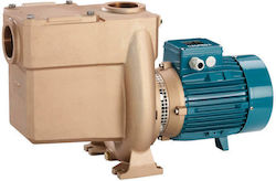 Calpeda Pool Water Pump Single-Phase 2hp