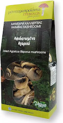 Manitaroproionta Grevenon Mushrooms Dehydrated Agaric 25gr