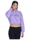 Gekürzt Damen Sweatshirt Kapuzen Lila