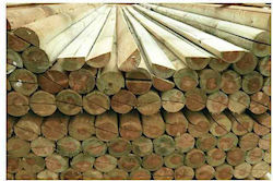Ecoshadow Diele für Gartenboden aus Holz 300x7cm 1Stück Ecoshadow Diele für Gartenboden aus Holz 300x7cm 1Stück