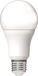 123led 123led