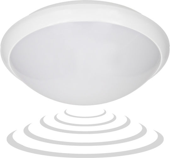 Adviti White Ceiling Lamp Adviti White Ceiling Lamp