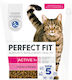 Perfect Fit Active 1+ Hrană Uscată pentru Pisici cu Vițel 0.75kg