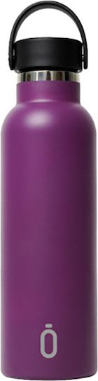 Runbott Stainless Steel Thermos Bottle BPA Free 600ml Purple