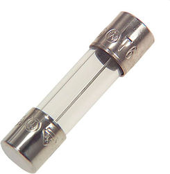 4A Cylindrical Glass Fuse (5904097801145)