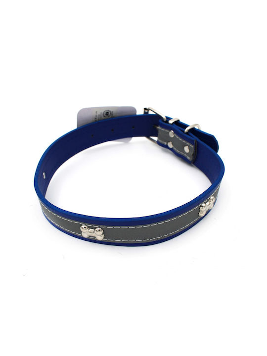 Dog Collar in Blue color