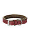 Kerbl Dog Collar Leather in Brown color 25mm