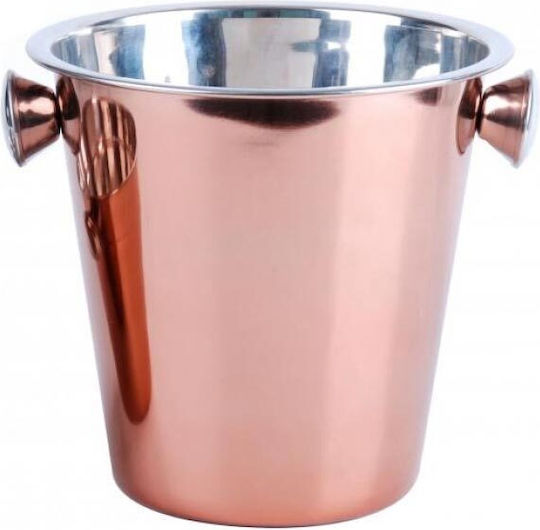 Champagners simple Inox cu dimensiunile 22x22x20.5cm