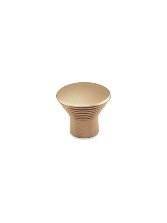 Convex Buton Mobilier din Metal Matt Oro 163-29S26S26 1buc