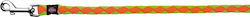 Trixie Dog Leash/Lead Strap Cavo in Orange color