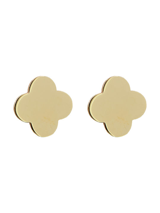 Earrings Gold Plated