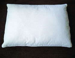 VS Home Hotelkissen Antiallergisch 50x70cm 10Stücke VS Home Hotelkissen Antiallergisch 50x70cm 10Stücke