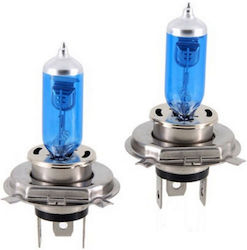 Lamps H1 Xenon Cold White 2pcs