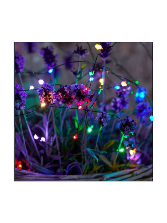Sirius Garland Lights Exterior