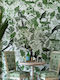 Wallpaper Green L300xW300cm