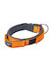 Armored Tech Hundehalsband in Orange Farbe