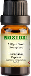 Nostos Pure Ätherisches Öl Zypresse 50ml