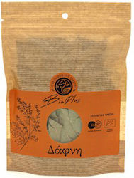 Aeiforos Gi Laurel Organic 20gr