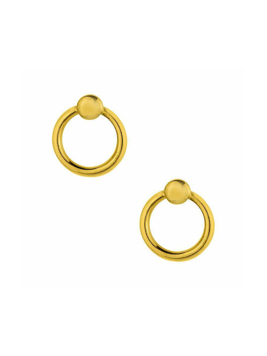 Pf Earrings Dangling Gold Plated