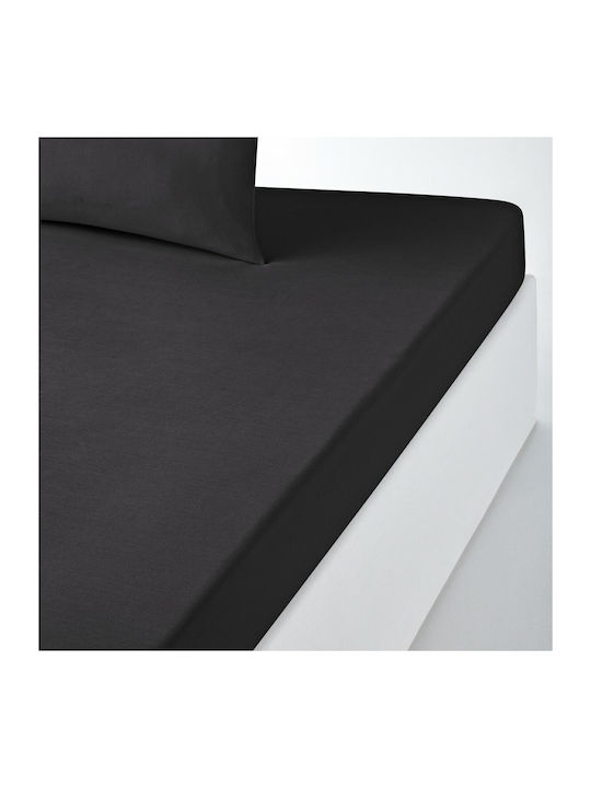 La Redoute Interieurs Cearșaf Single cu Elastic...