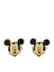 Prince Silvero Детски Обеци Studs от Злато 14K