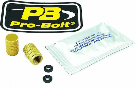 Pro Bolt Motorcycle Bolts 2pcs 2DCAP10G