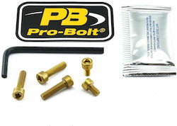 Pro Bolt Motorcycle Bolts TYA398G