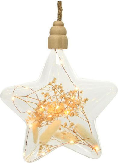 Kaemingk Crăciunesc Decorativ Suspendata Stea Plastic 20x20x20buc 1buc