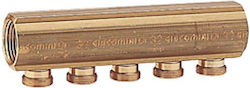 Giacomini Colector - Colector Țeavă Alamă R585Y003