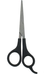 Assim Haarschneideschere 5.5" Assim Haarschneideschere 5.5"