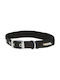 Kerbl Miami Plus Κολάρο Σκύλου σε Πράσινο χρώμα 20mm x 39cm