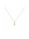 Necklace from Gold 14K