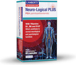 Lamberts Neuro-Logical Plus PEA 400mg 60 Капсули Lamberts Neuro-Logical Plus PEA 400mg 60 Капсули