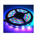 Light Rainbow Bandă LED