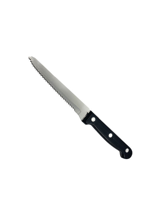 Ready Meat Knife of Stainless Steel HE.06054