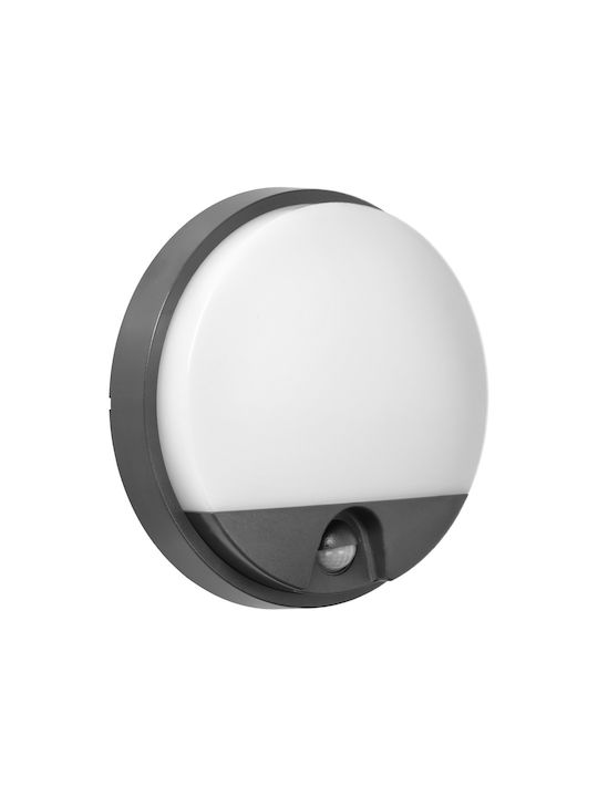 Adviti Επιτοίχιο Εξωτερικό Φωτιστικό LED IP54 15W με Φυσικό Λευκό Φως 21x4.9εκ.