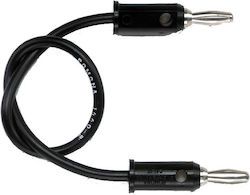 Pomona Stecker