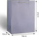 Cosmofan Geantă pentru Cadou Violet 23x10x18cm.