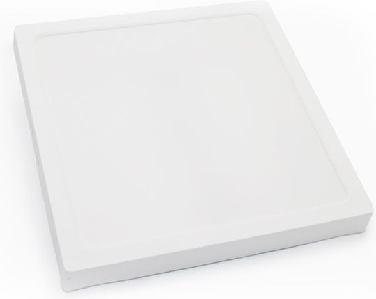 Adeleq Τετράγωνο LED Panel 24W με Ψυχρό Λευκό Φως 6200K