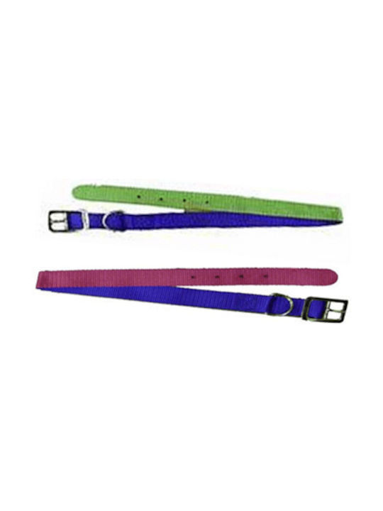 Petler Dog Collar Medium