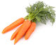 Geniki Fytotechniki Athinon Seeds Carrot