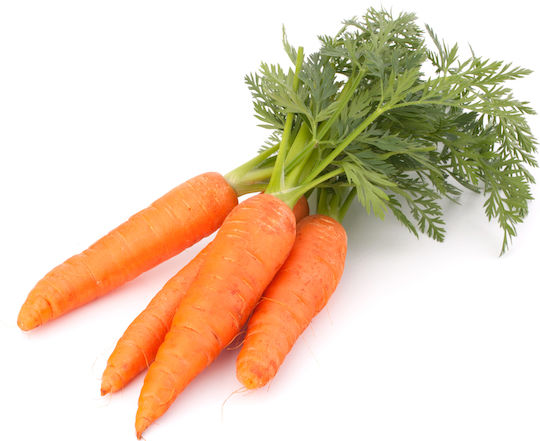 Geniki Fytotechniki Athinon Seeds Carrot