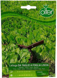 Olter Semințe Salată Da Taglio A Frunză Netedă