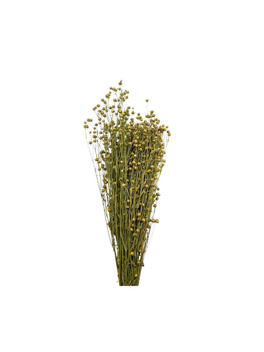 Dried Plant 45cm 1pcs