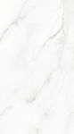 Πλακάκι Δαπέδου Εσωτερικού Χώρου Πορσελανάτο Ματ 120x60cm Statuario Bianco