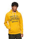 Superdry Men's Sweatshirt with Hood Yellow