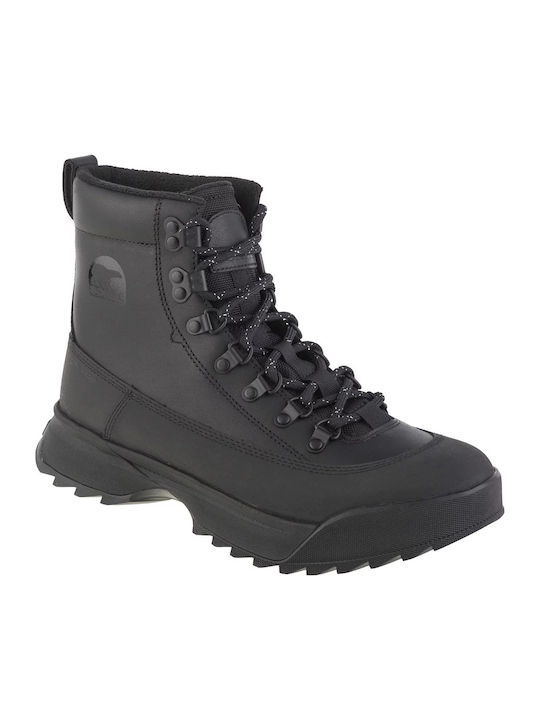 Sorel