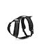 Record Dog Harness Black 3111.3N