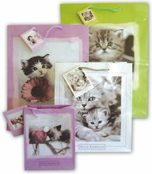 Uni Pap Geschenkverpackung (Verschiedene Farben) Uni Pap Geschenkverpackung (Verschiedene Farben)